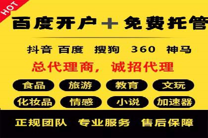 案例展示：SEM账户托管服务成果